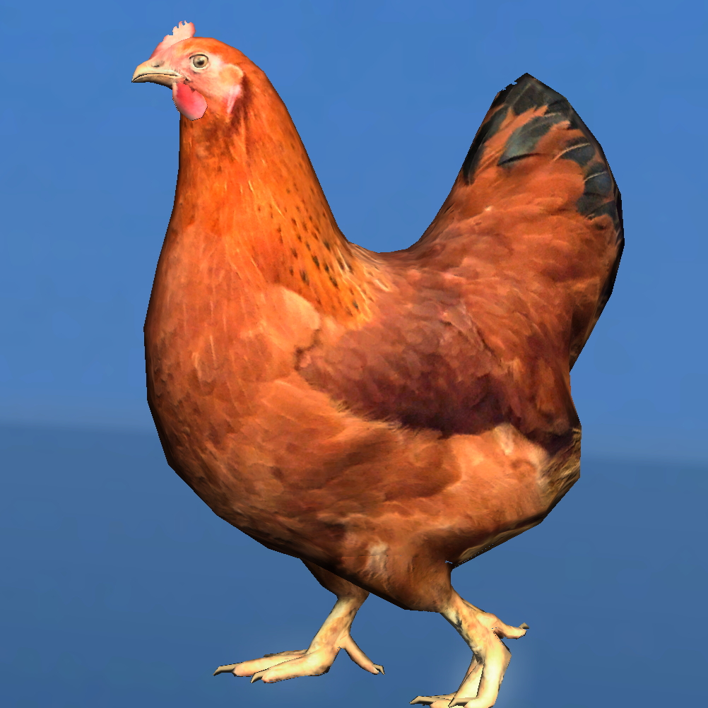Chicken (animated) | OpenGameArt.org