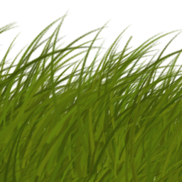 grass blades alpha card texture (side view) | OpenGameArt.org