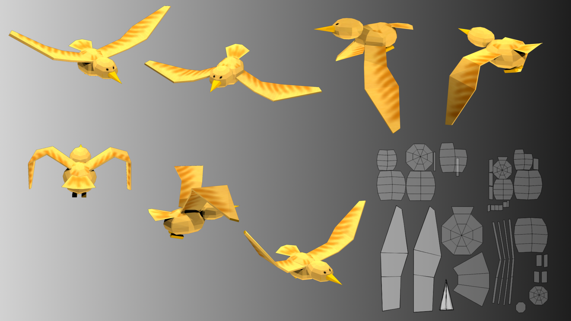 flying birds animation