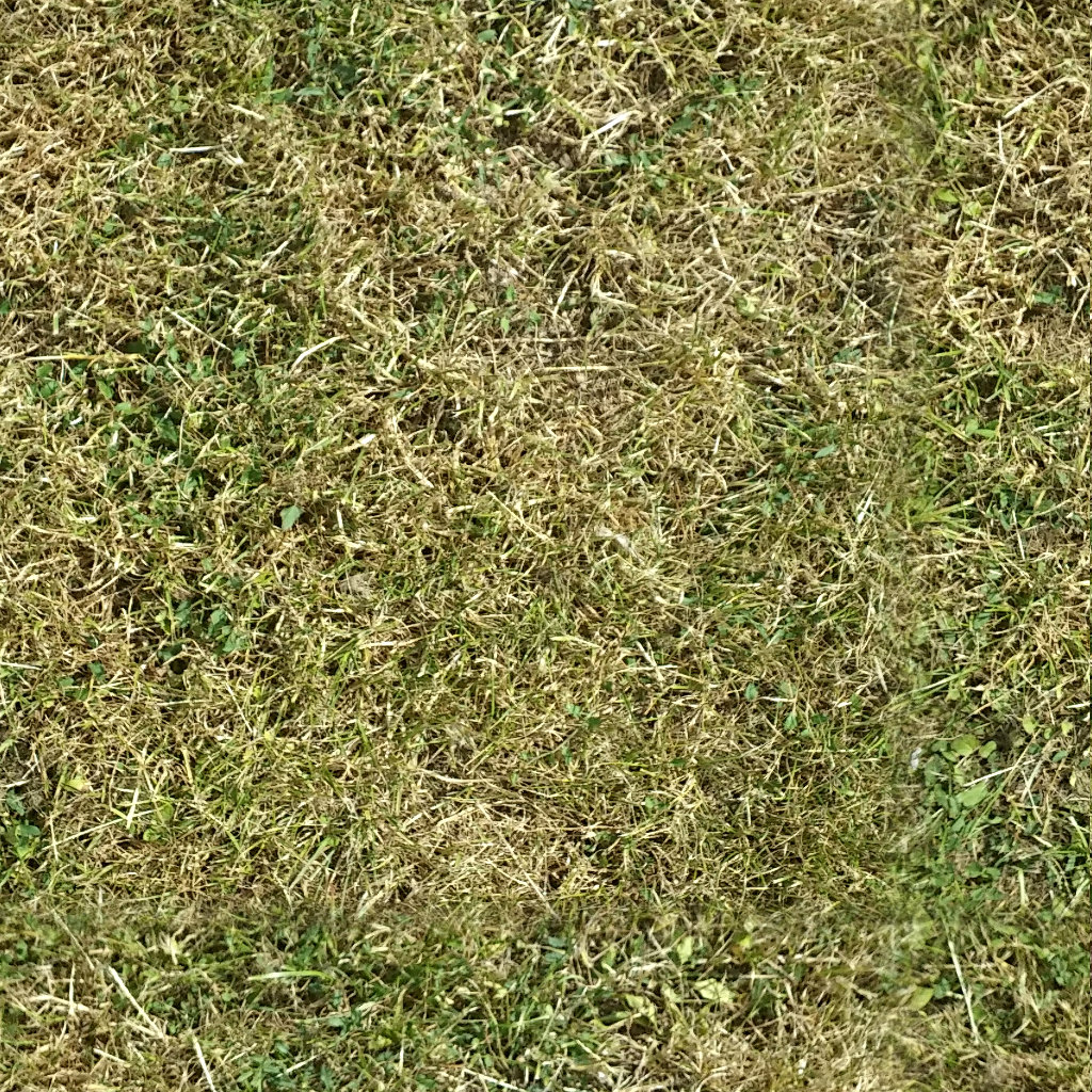 Сухая трава текстура