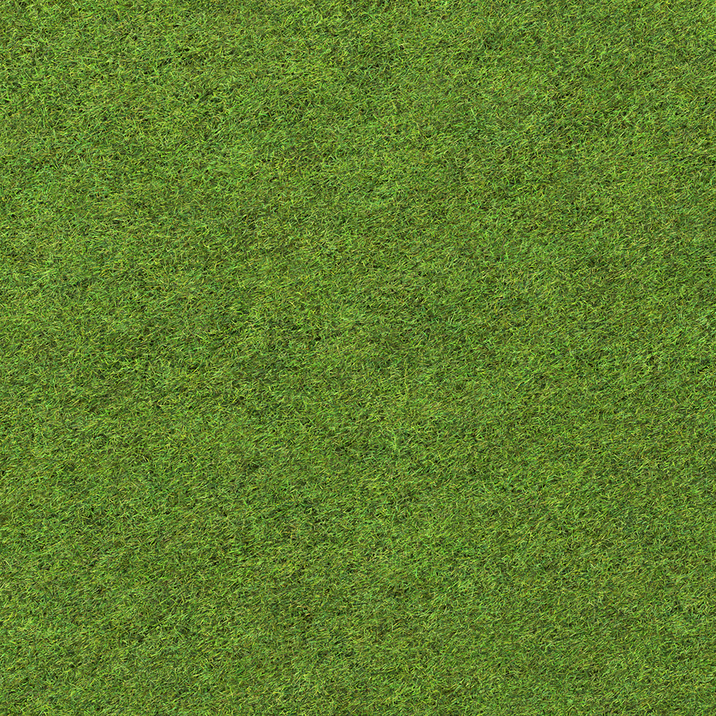 minecraft tall grass texture