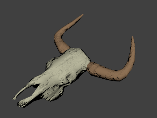 Cow Skull 3d Model Free