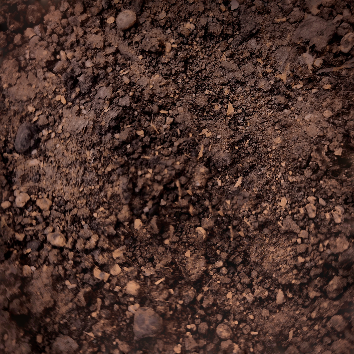 soil texture seamless