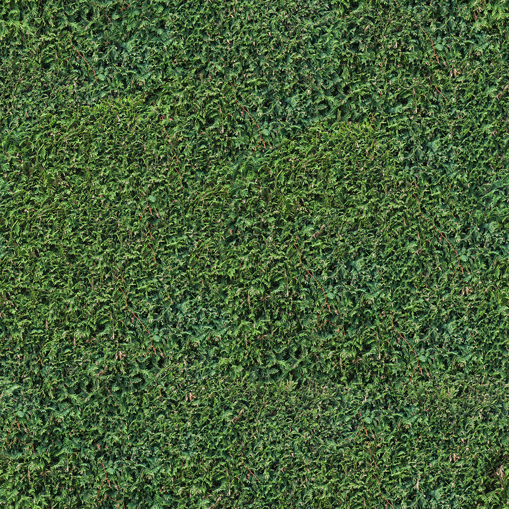 texture tiles 2d vegetation  pack texture Hedge  43.png hedge seamless