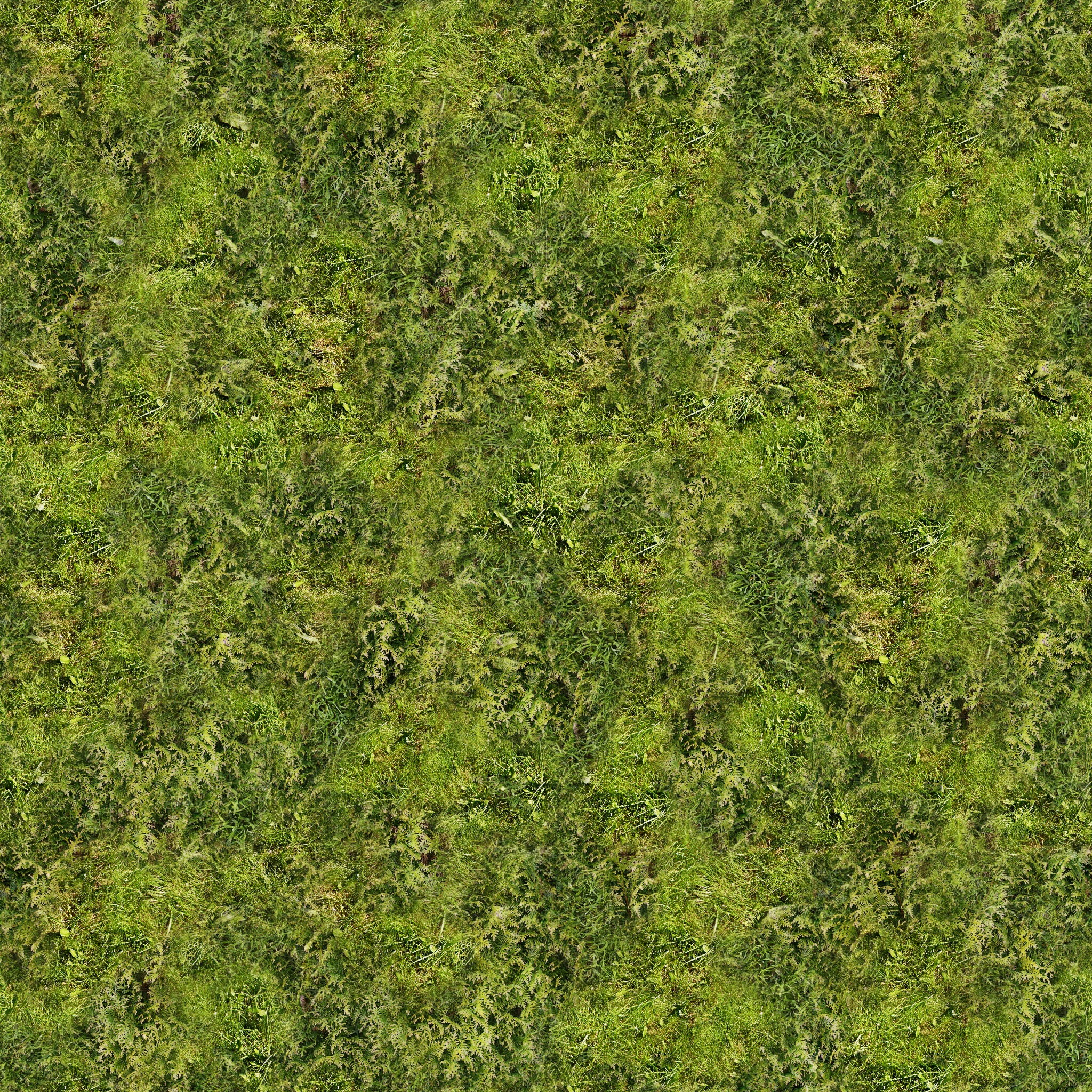 Текстура пакета. Grass and Rocks texture. 2 Зеленая. Arab Terrain texture. Habitat help