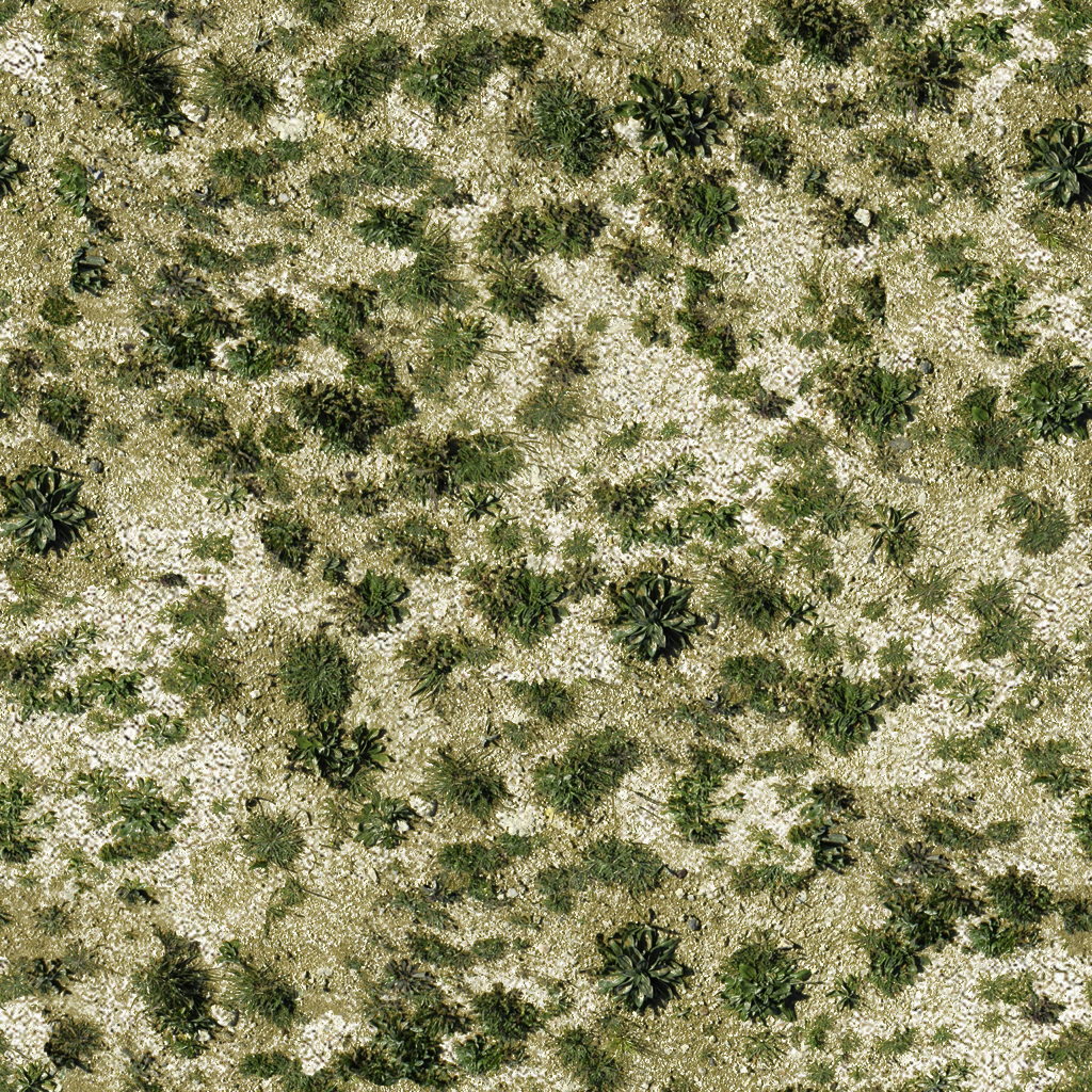 Tundra Terrain texture