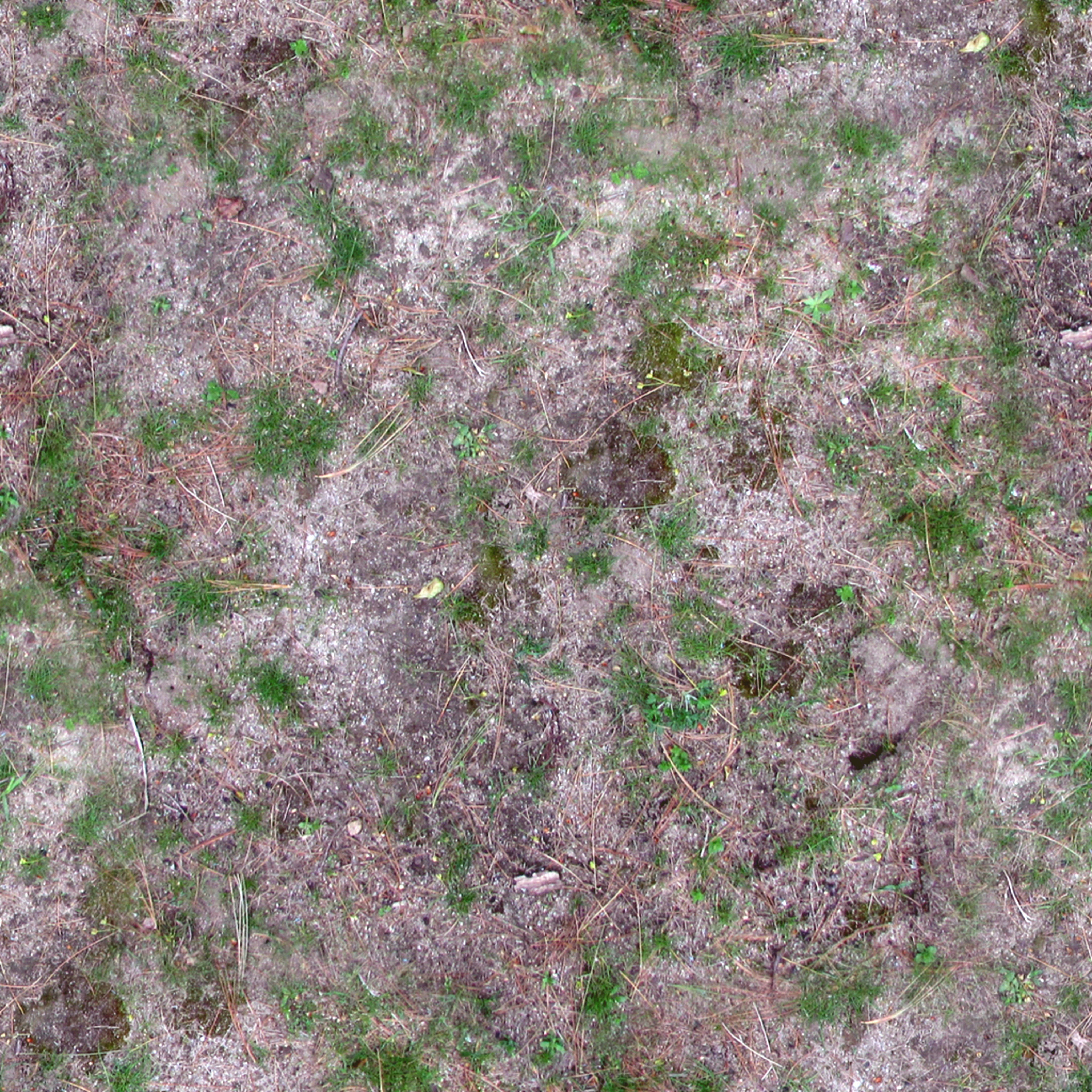 mossy grass texture seamless