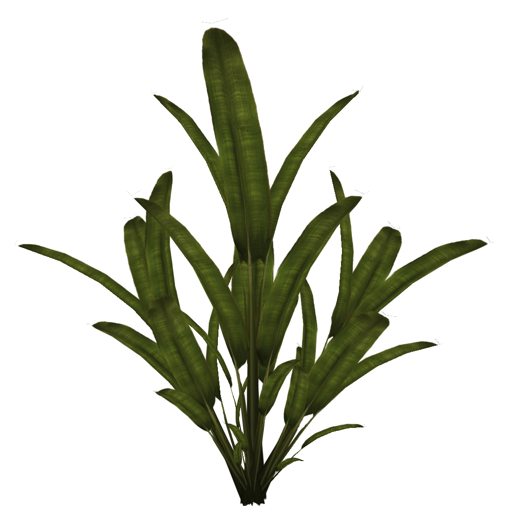 Palm Plant Sprite 1024x1024 - palmtree.png | OpenGameArt.org