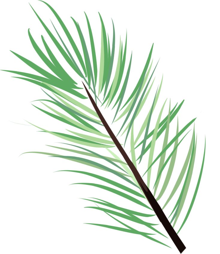 pine needles | OpenGameArt.org