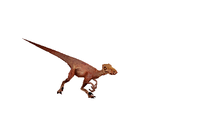 Low Spec Velociraptor