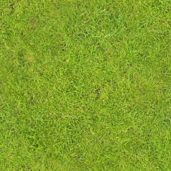 texture - grass.png | OpenGameArt.org