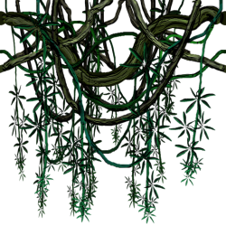 Drawing Jungle Vines | OpenGameArt.org