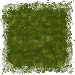 grass texture overlay