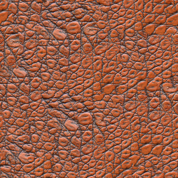 Free high quality textures by ShareTextures - animal_skin_1-diffuse.png