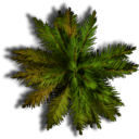 Top down foliage collection | OpenGameArt.org
