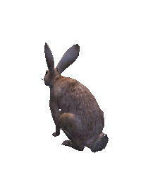 Rabbit | OpenGameArt.org