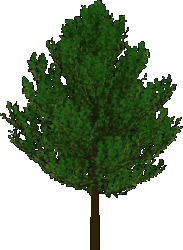 Generic animated tree | OpenGameArt.org